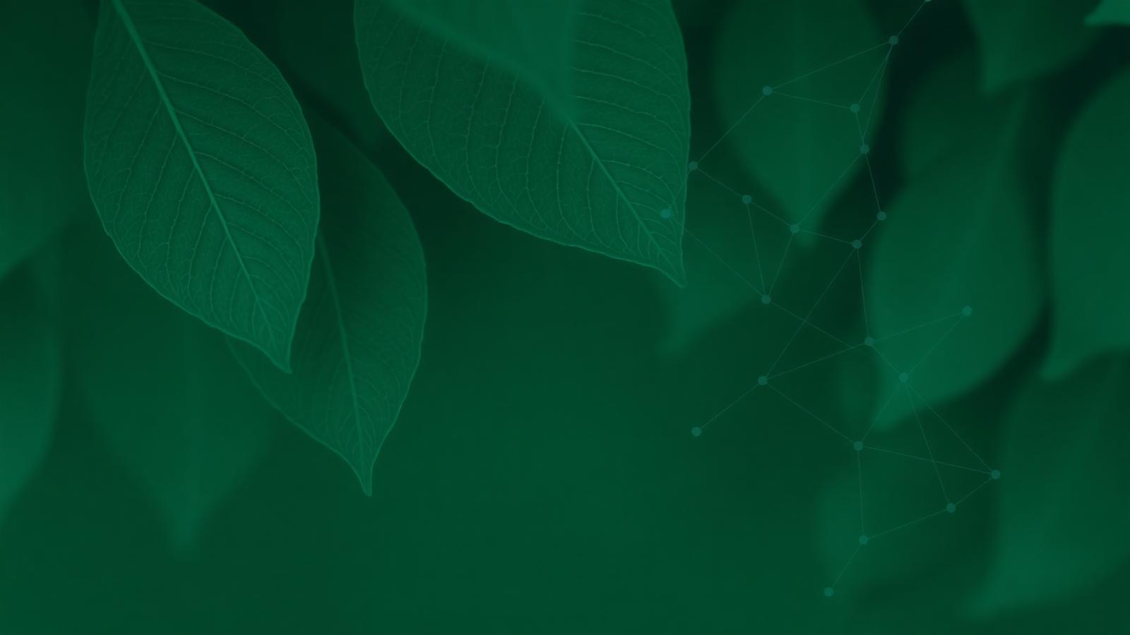 Leaves and a glass beaker in soft natural light